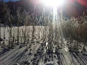 Berggasthaus Riatschhof