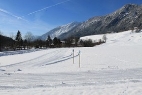 Schlossblick