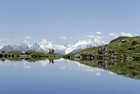 Schlossblick