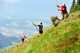 Schlossblick