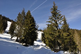 Puitalm Natur Apart Hotel