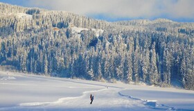 Vital & Sporthotel Brixen