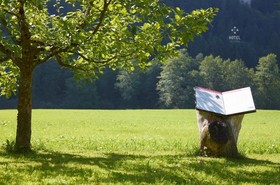 Hotel Zur Schanz