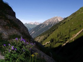 Hotel Panorama