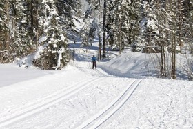 Pension Apartment Steiner