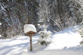 Pension Apartment Steiner