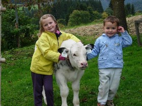 Ferienwohnungen Mittermoos