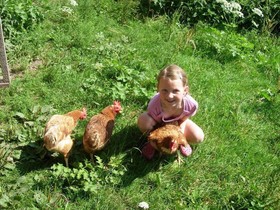 Ferienwohnungen Mittermoos