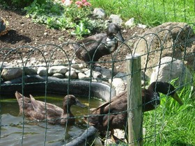 Ferienwohnungen Mittermoos