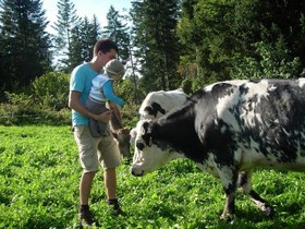 Ferienwohnungen Mittermoos