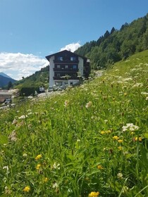 Panoramahotel Fliesserhof