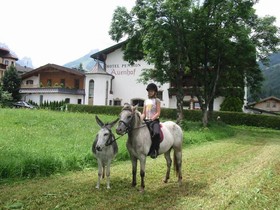 Familien- & Vitalhotel Auenhof