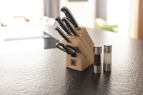 All-Suite Resort Paznaun