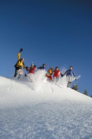 Alpenherz