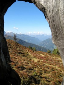 Alpenherz