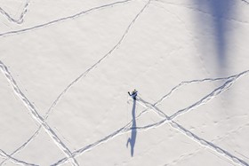 Traumhotel Alpina - Yoga & Ayurveda & Natur