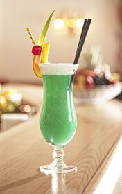 Wohlfuhlhotel Platzer