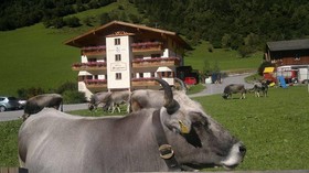Alfaierhof & Alfaier Bergheimat