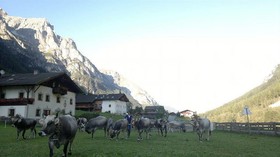 Alfaierhof & Alfaier Bergheimat