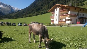 Alfaierhof & Alfaier Bergheimat