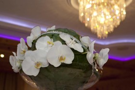 Garten Hotel Maria Theresia