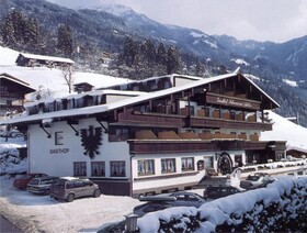 Schwarzer Adler