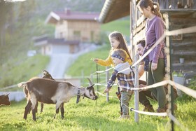 Das Hopfgarten Aparthotel