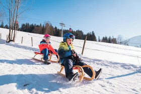 Das Hopfgarten Aparthotel