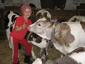 Bauernhof Obergrafer