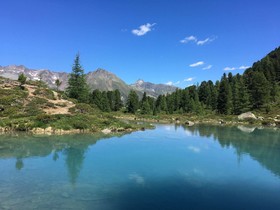 Alpenhotel Ischglerhof