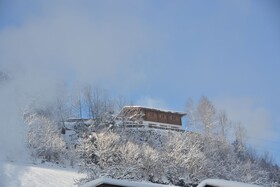 Chalets & Apartments Wachterhof