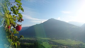 Chalets & Apartments Wachterhof