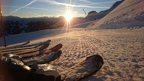 Chalets & Apartments Wachterhof