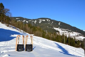 Chalets & Apartments Wachterhof