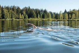 Aktivhotel Schweizerhof