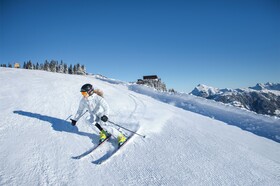 Aktivhotel Schweizerhof