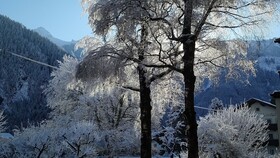 Hotel Garni Birkenhof