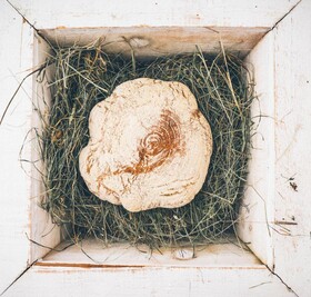 Alpen-Comfort-Hotel Central