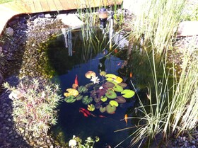 Haus Bergkastelblick