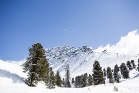 Naudererhof Alpin Art & Spa Hotel