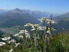 Norbertshöhe Alpengasthof