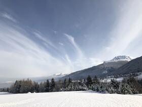 Appartements Grünfelder