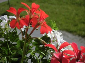 Gaestehaus Braunegger