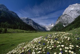 Pension Pertisauerhof