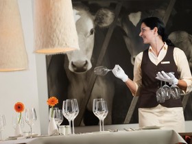 aja Fürstenhaus am Achensee