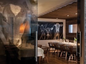 aja Fürstenhaus am Achensee