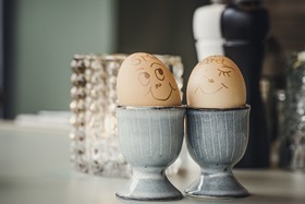 Coolnest Designhotel