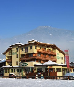 Hotel Alpina
