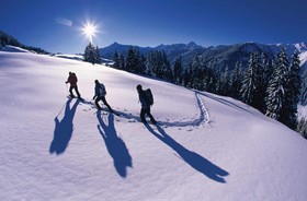 Hotel Alpina