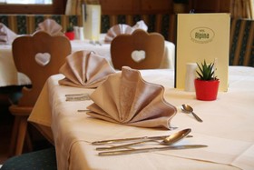 Hotel Alpina